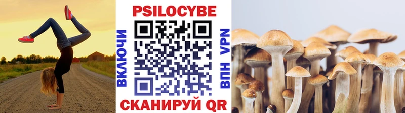 Псилоцибиновые грибы MAGIC MUSHROOMS  blacksprut сайт  Туран 
