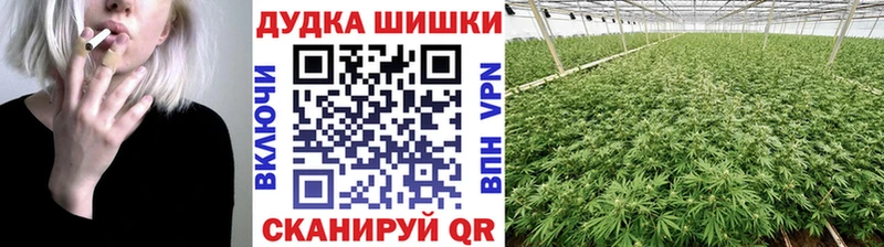 как найти закладки кракен ссылки Шишки марихуана AK-47 Туран